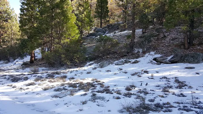 R-Ranch RV Park (private ownership) Picture 1