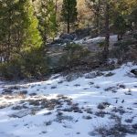 R-Ranch RV Park (private ownership)