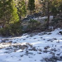 R-Ranch RV Park (private ownership) ico