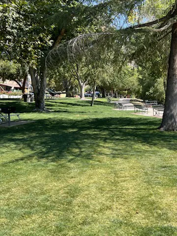 Sierra Meadows Picture 7