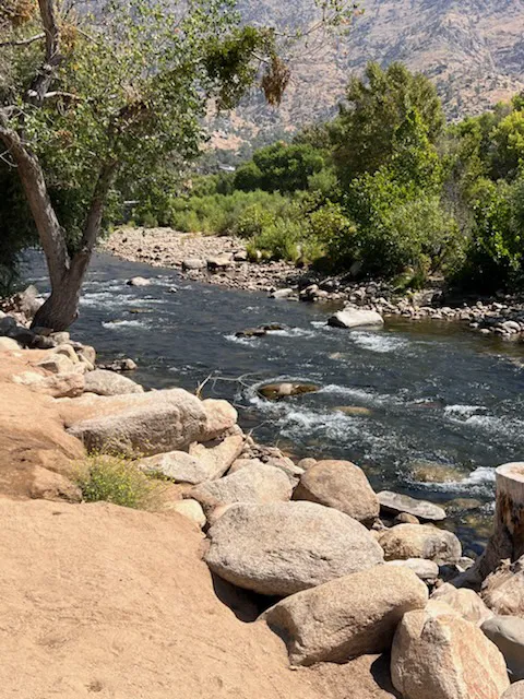 Sierra Meadows Picture 10