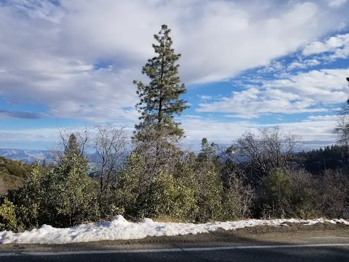 Rock Haven Trailer Park Picture 9