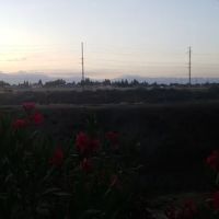 Gold Star Mobile Estates ico