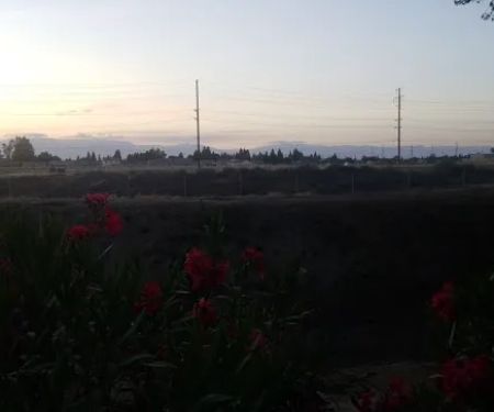 Gold Star Mobile Estates