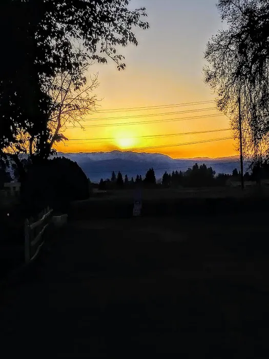 Gold Star Mobile Estates Picture 4