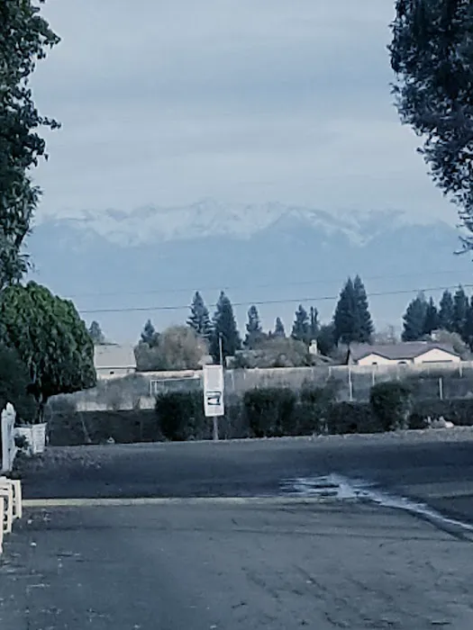 Gold Star Mobile Estates Picture 5