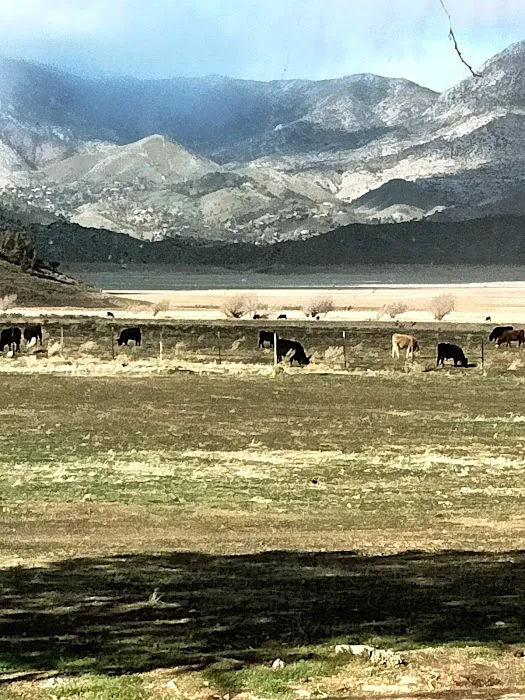 Harbor Light Mobile Home Park Picture 10