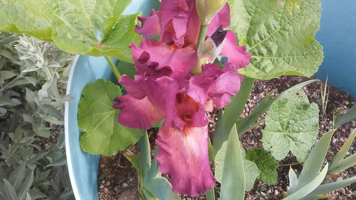 Lake Ridge Mobile Senior Park Picture 1