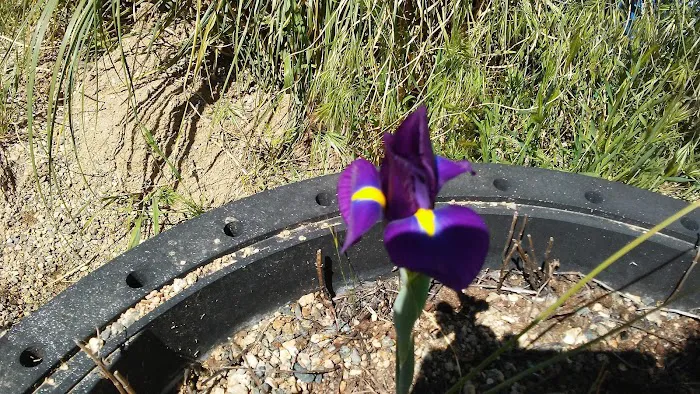 Lake Ridge Mobile Senior Park Picture 6