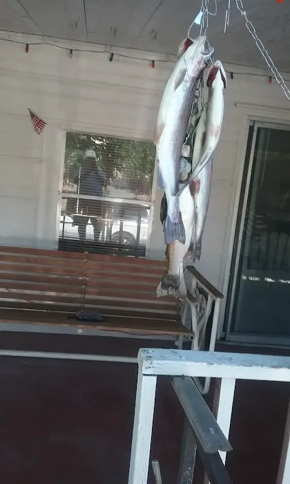 Paradise Mobile Home Estates Picture 4