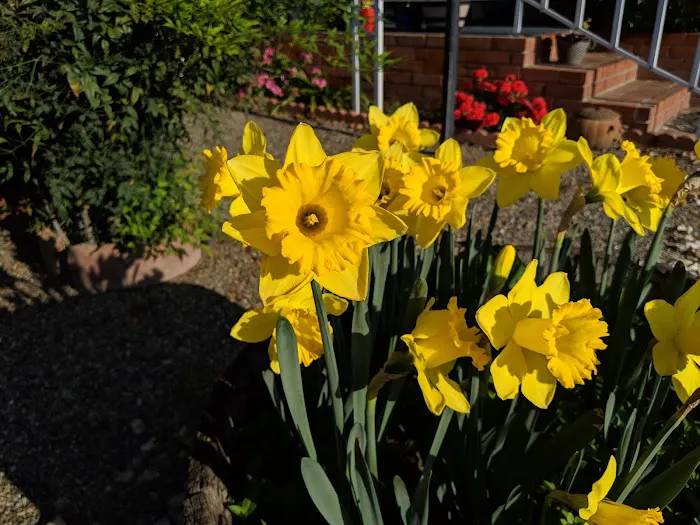 Sierra Vista Mobile Manor Picture 6