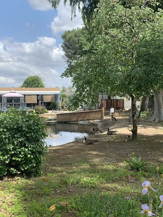 Westlake Village Picture 2