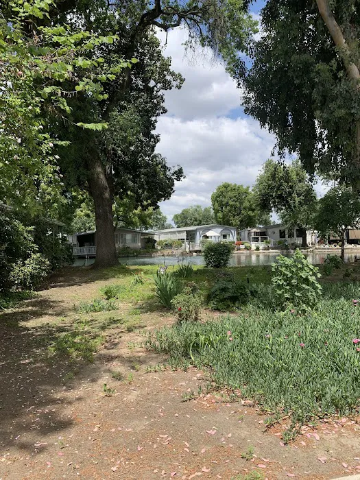 Westlake Village Picture 10