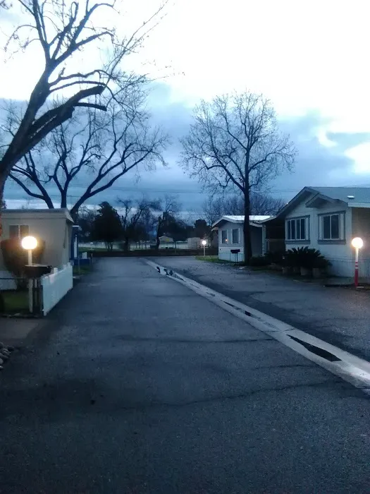 Royal Oaks Picture 6