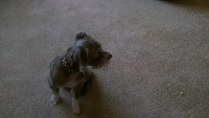 Oaks Estate Mobile Home Park Picture 2