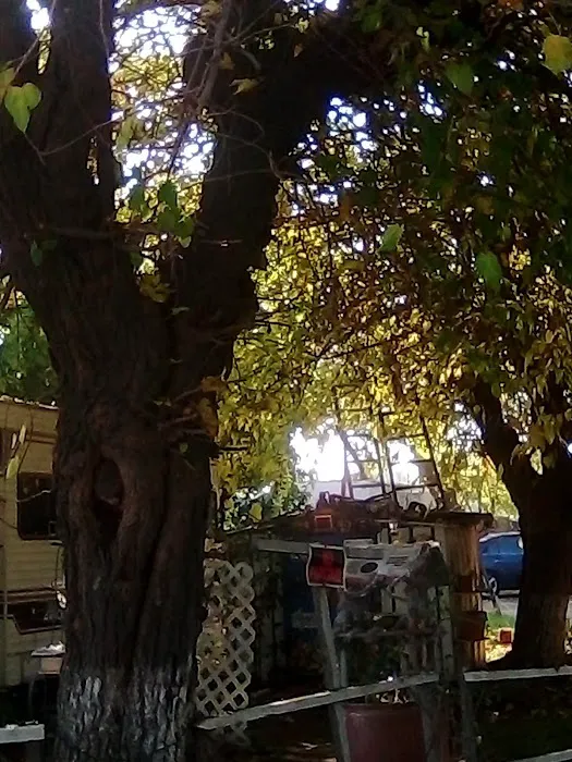 Fair Courts Trailer Park Picture 9