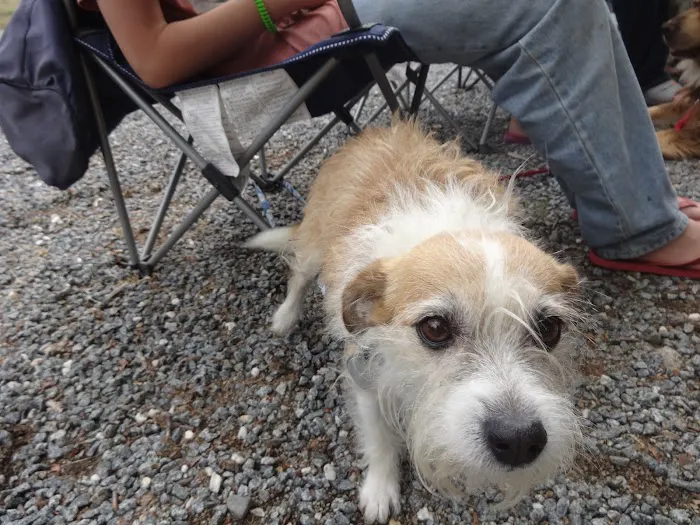 Sequoia RV Ranch Picture 10