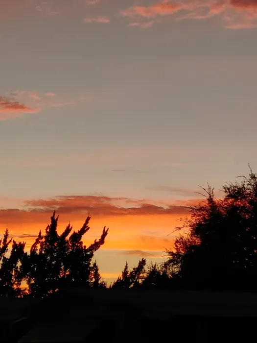 Kings River Mobile Home Park Picture 10