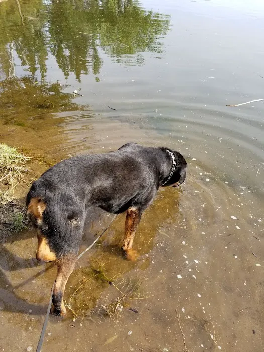 Lindy's Landing RV Resort And Campground Picture 6