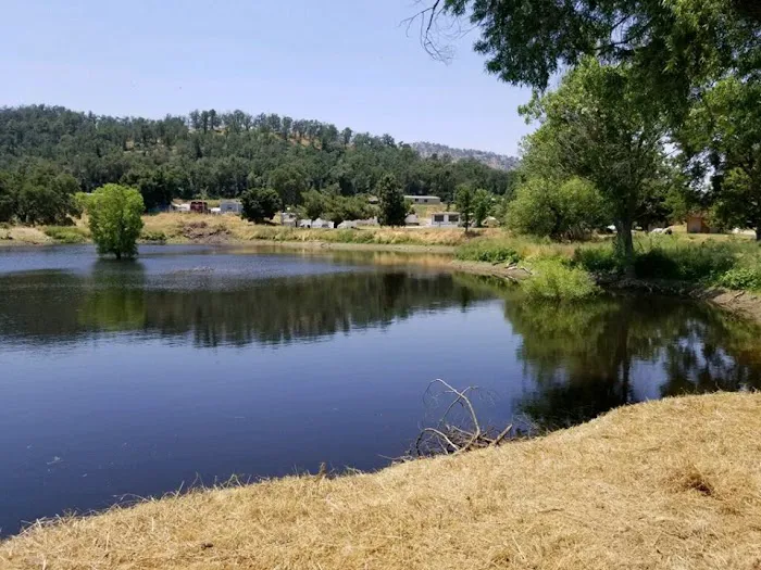 Sequoia RV Park Picture 6