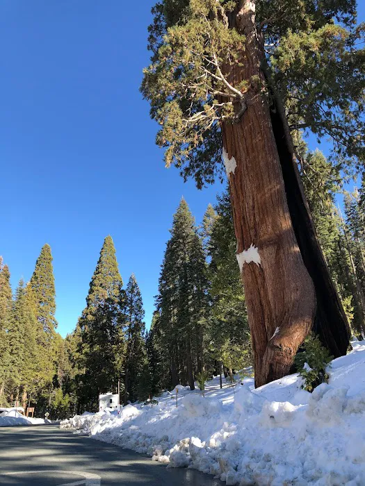 Sequoia RV Park Picture 8