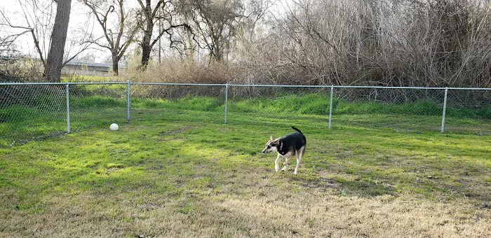 Riverbend RV Park Picture 4