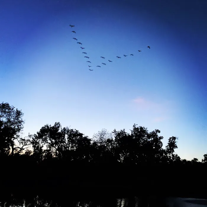 Riverbend RV Park Picture 5