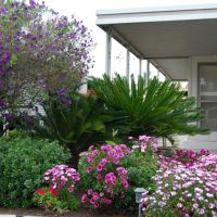 Mc Call Village Mobile Park ico