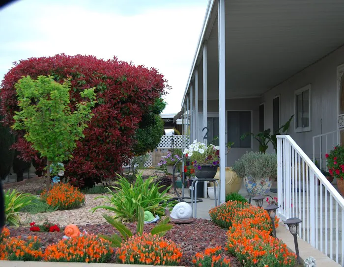 Mc Call Village Mobile Park Picture 5