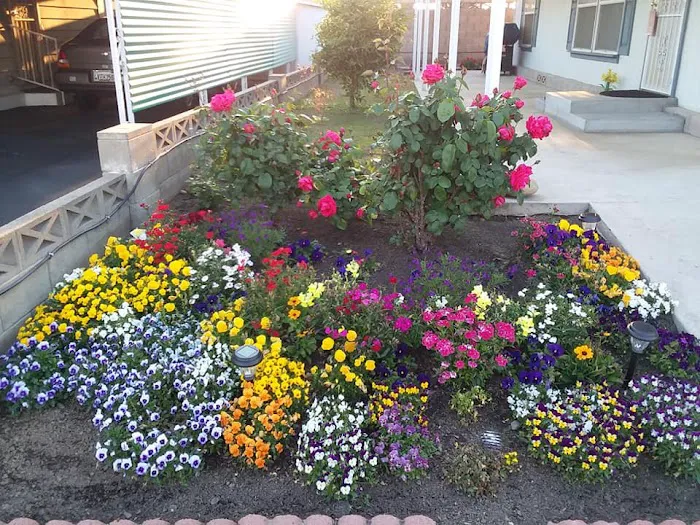 Mc Call Village Mobile Park Picture 4