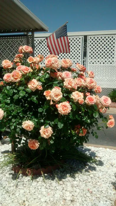 Vista Del Monte Mobile Home Park Picture 2