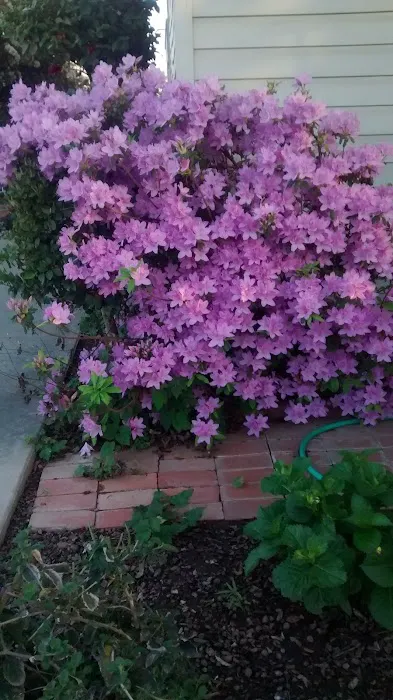 Vista Del Monte Mobile Home Park Picture 1