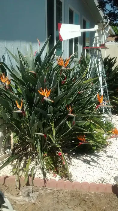 Vista Del Monte Mobile Home Park Picture 3