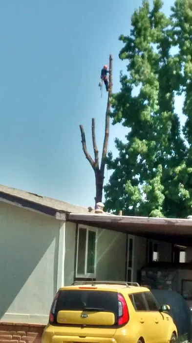 Vista Del Monte Mobile Home Park Picture 4