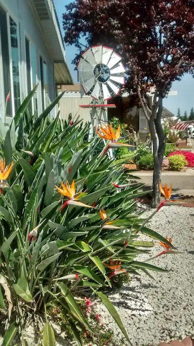 Vista Del Monte Mobile Home Park Picture 8