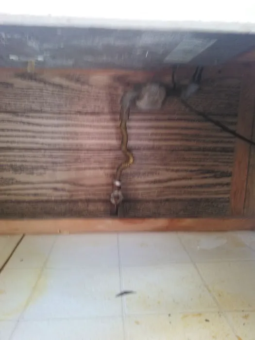 Franciscan Estates Picture 2