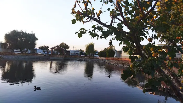 Sierra Vista Mobile Estates Picture 1