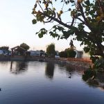 Sierra Vista Mobile Estates