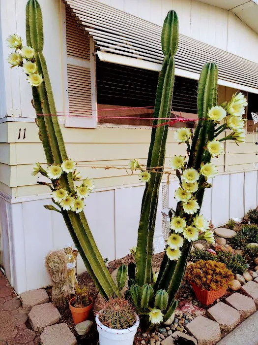 Hanford Del Arroyo Estates Picture 3