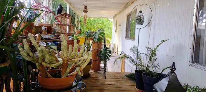 Hanford Del Arroyo Estates Picture 2