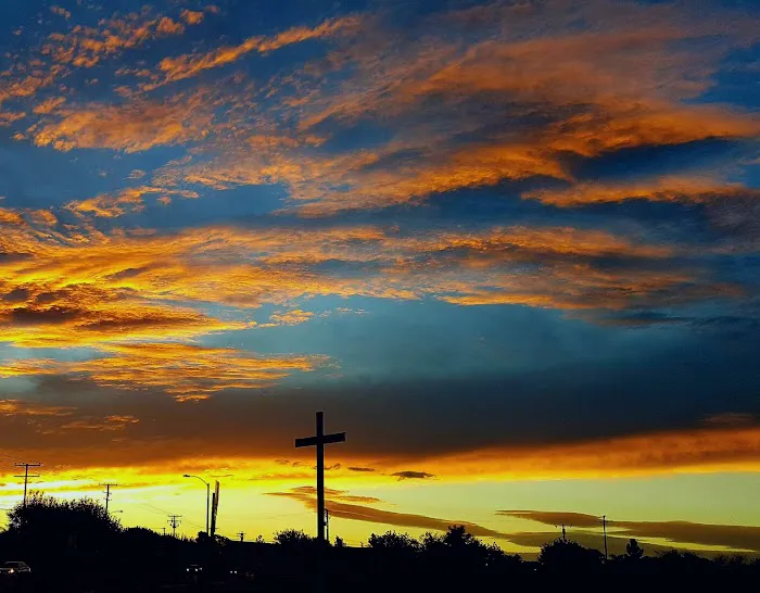 Tara Estates Senior Mobile Home Park Picture 7