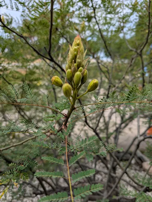 Oak Knoll RV Park Picture 1