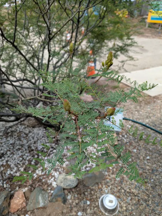 Oak Knoll RV Park Picture 8