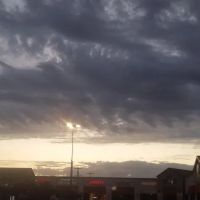 Bonaventure Park ico