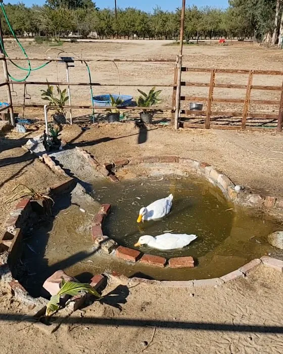 Geods R.V. Campground Picture 1