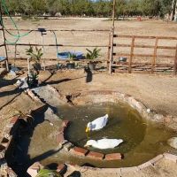 Geods R.V. Campground ico