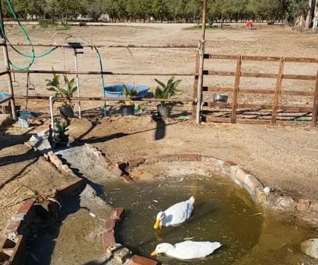 Geods R.V. Campground