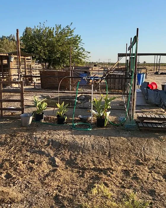 Geods R.V. Campground Picture 2