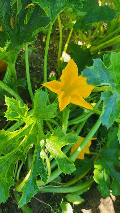 Geods R.V. Campground Picture 3