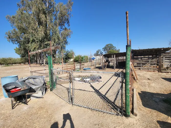 Geods R.V. Campground Picture 10